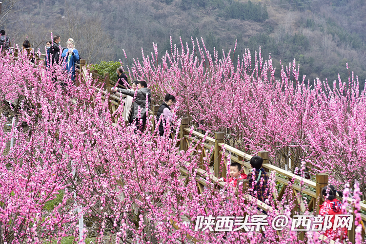 安康“春来早”旅游季启动6条精品旅游路线供游客感受安康风情