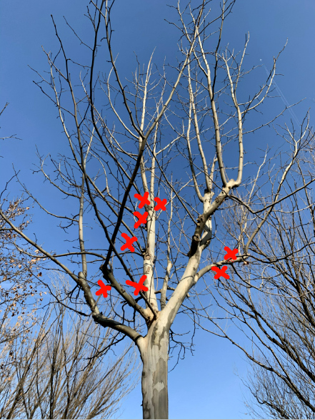 迎接新学期，天大美丽的校园准备好了！