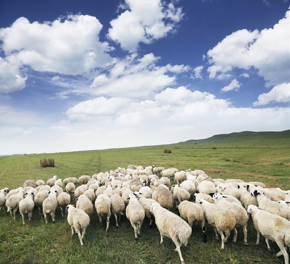 组诗丨庆"三八"妇女节诗歌