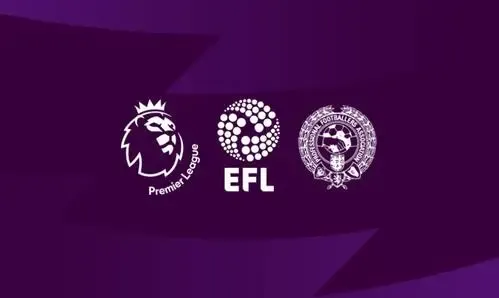 电讯报：英超接近达成巨额NFT交易，价值数亿英镑