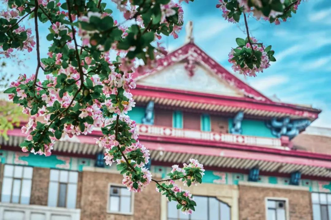 海棠春讯：2022年“天大·海棠季”活动公告