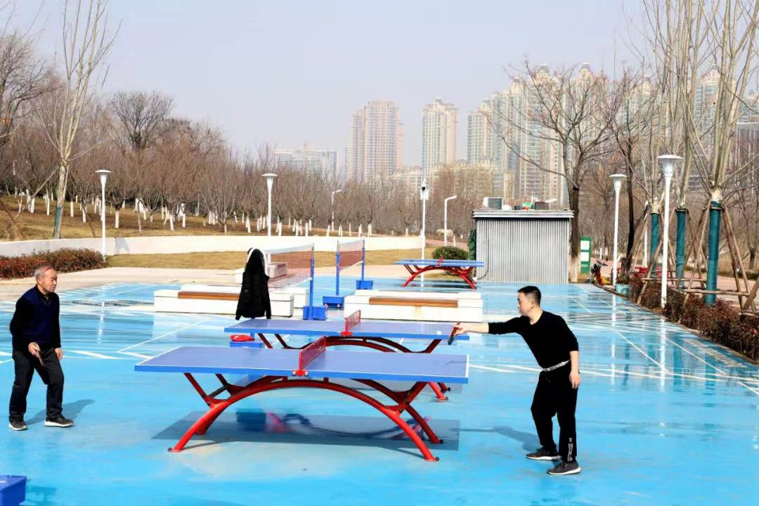 聚焦丨两会上的体育声音