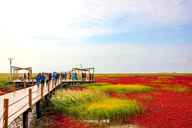 小鲁面の国庆节·辽宁黄金线路「盘锦红海滩