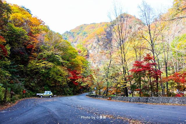 小鲁面の国庆节·辽宁黄金线路「盘锦红海滩