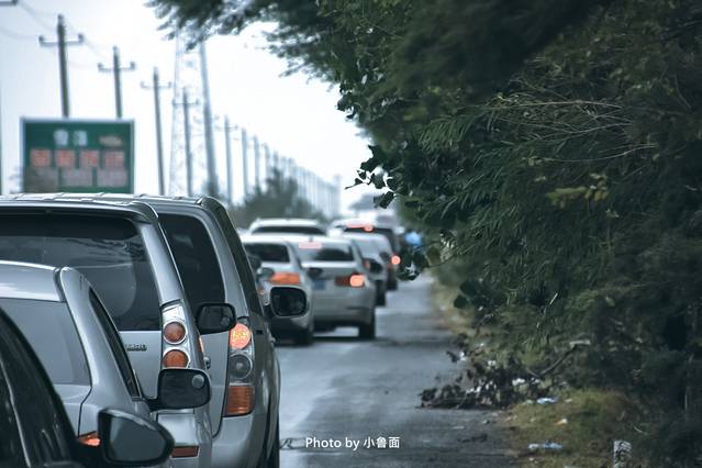 小鲁面の国庆节·辽宁黄金线路「盘锦红海滩