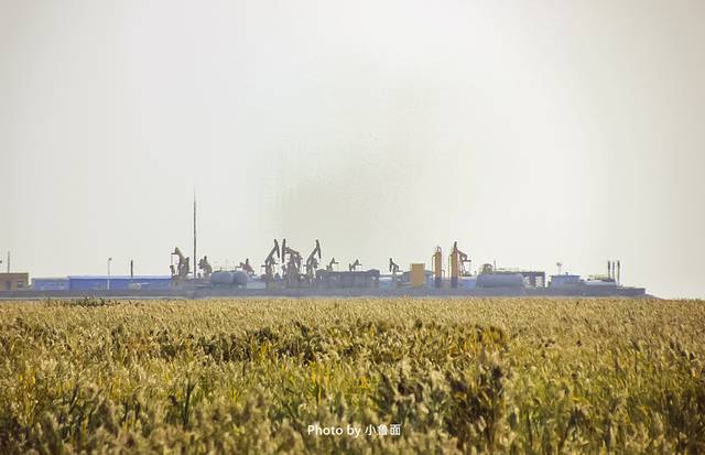 小鲁面の国庆节·辽宁黄金线路「盘锦红海滩