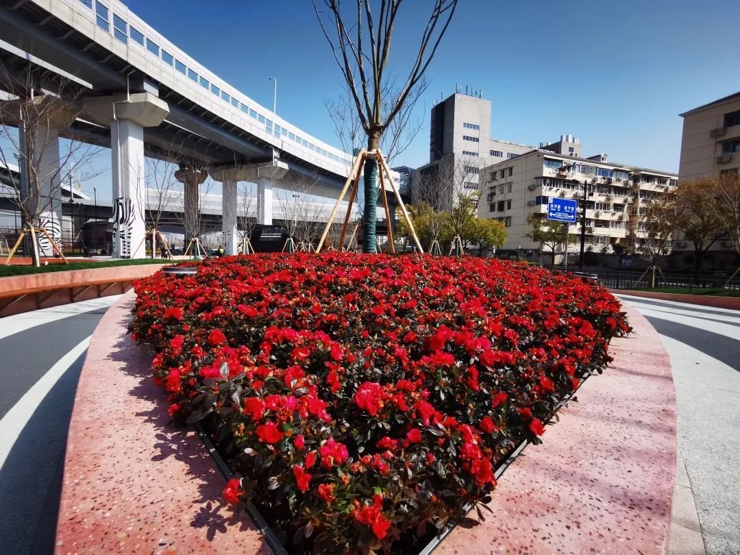 靈額 長甯中環橋下建立的這個 街心花園 對外開放啦 天天看點
