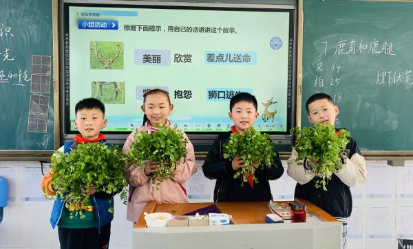 合肥市古城小学发特殊奖励!真香(图1)