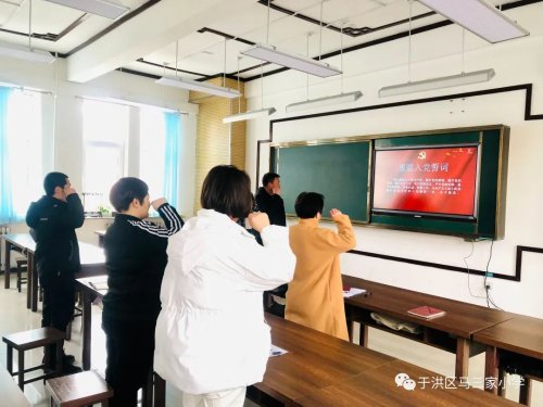 沈阳市于洪区马三家小学主题党日活动(图2)