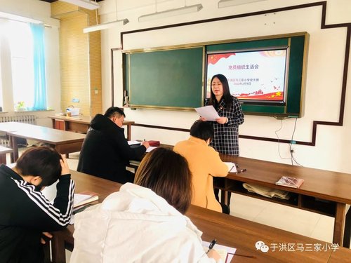 沈阳市于洪区马三家小学主题党日活动(图16)