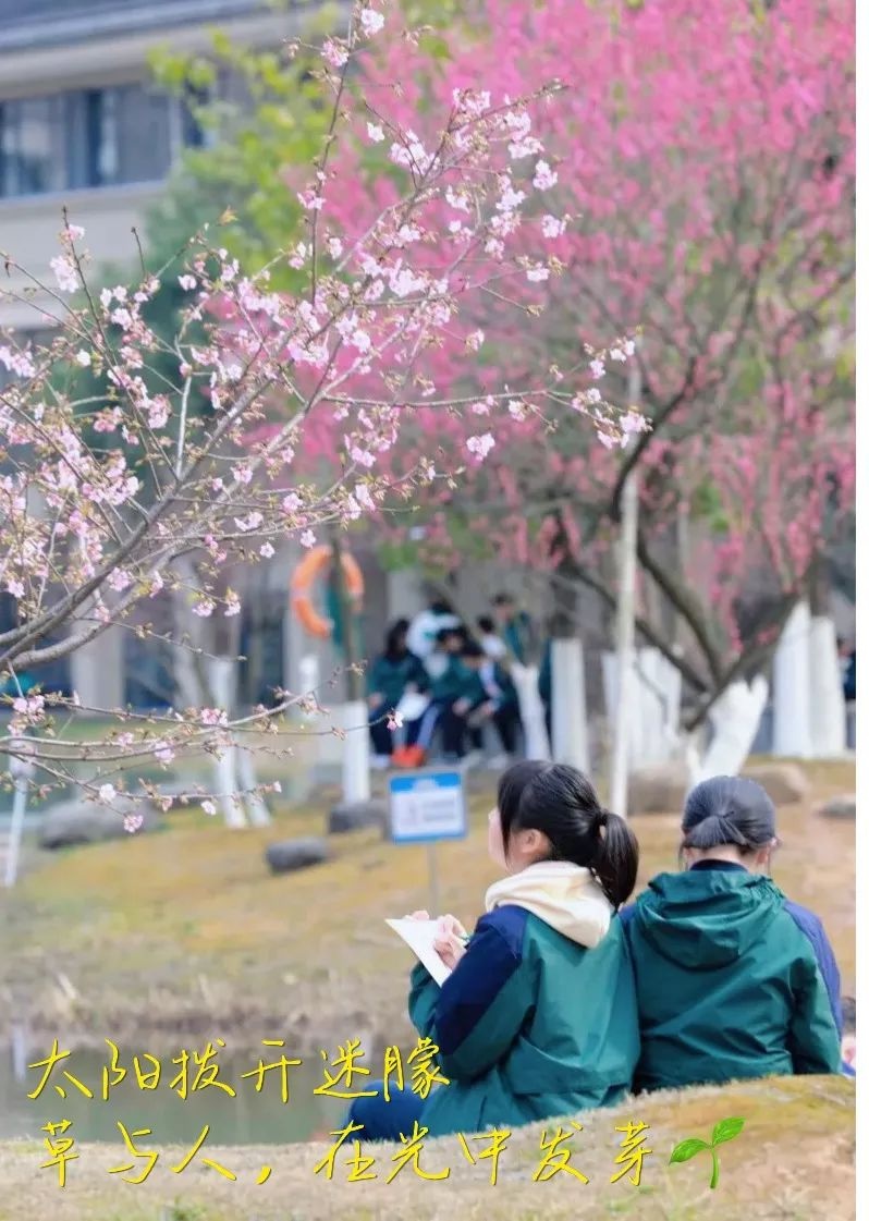 正是春花烂漫时，把最美的校园春景送给你