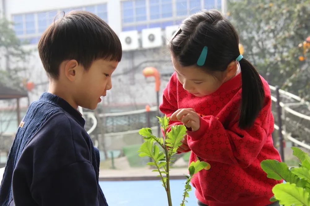 正是春花烂漫时，把最美的校园春景送给你