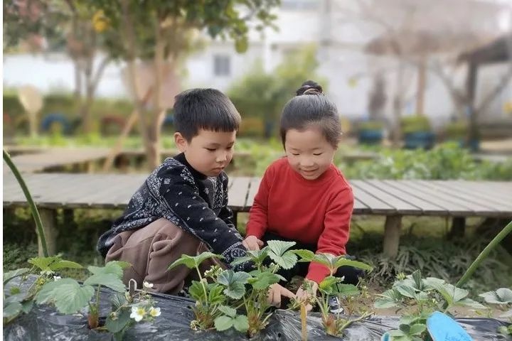 正是春花烂漫时，把最美的校园春景送给你