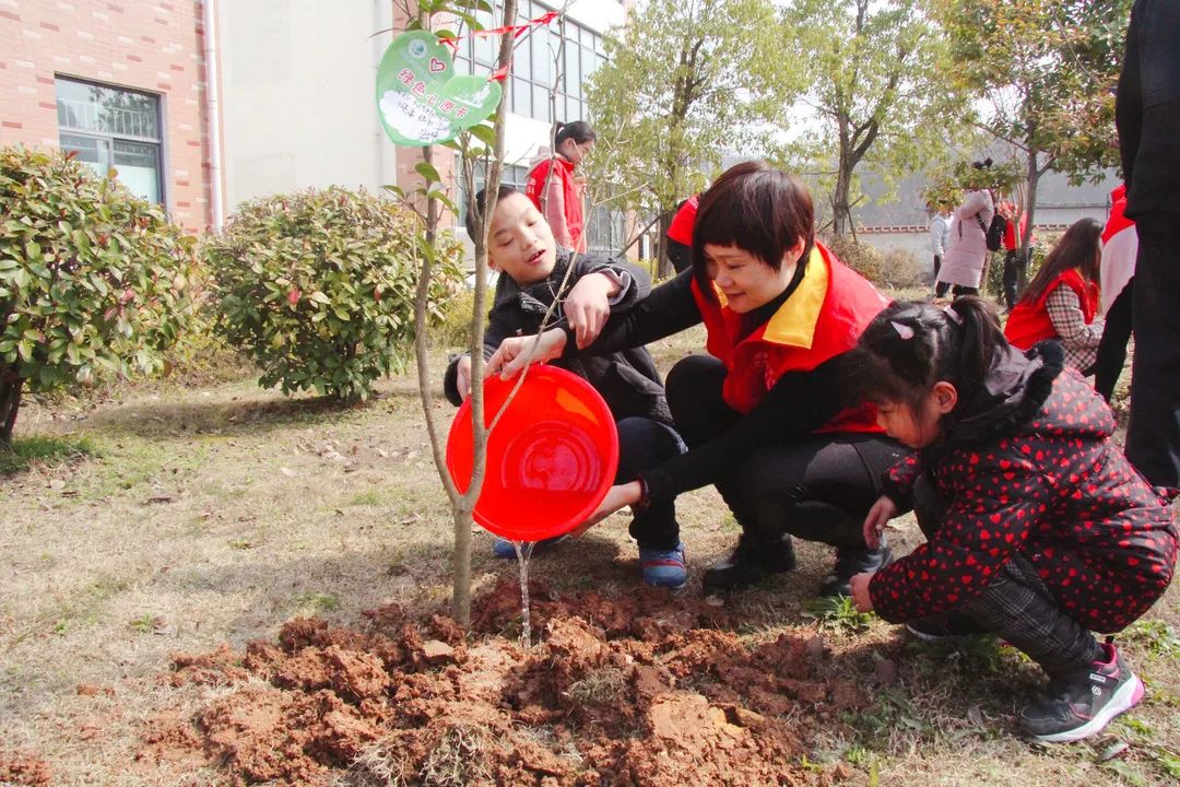 強(qiáng)國(guó)復(fù)興有我 | 我的奮斗故事——安徽省三八紅旗手標(biāo)兵 華云梅