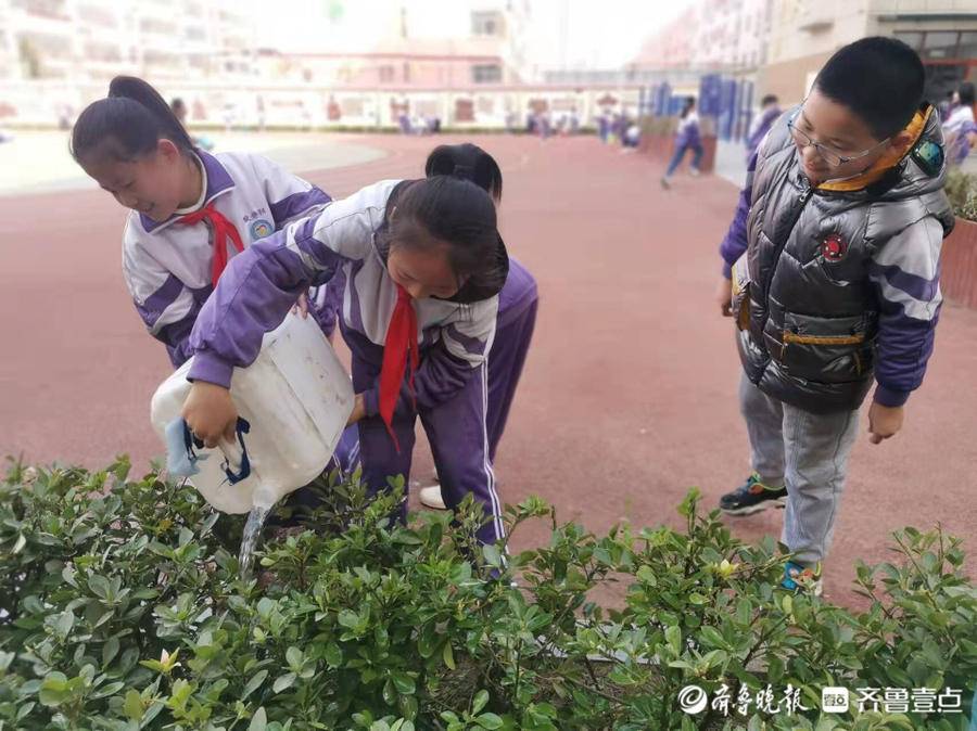 东昌府区阳光小学:植树节树木认养活动(图1)