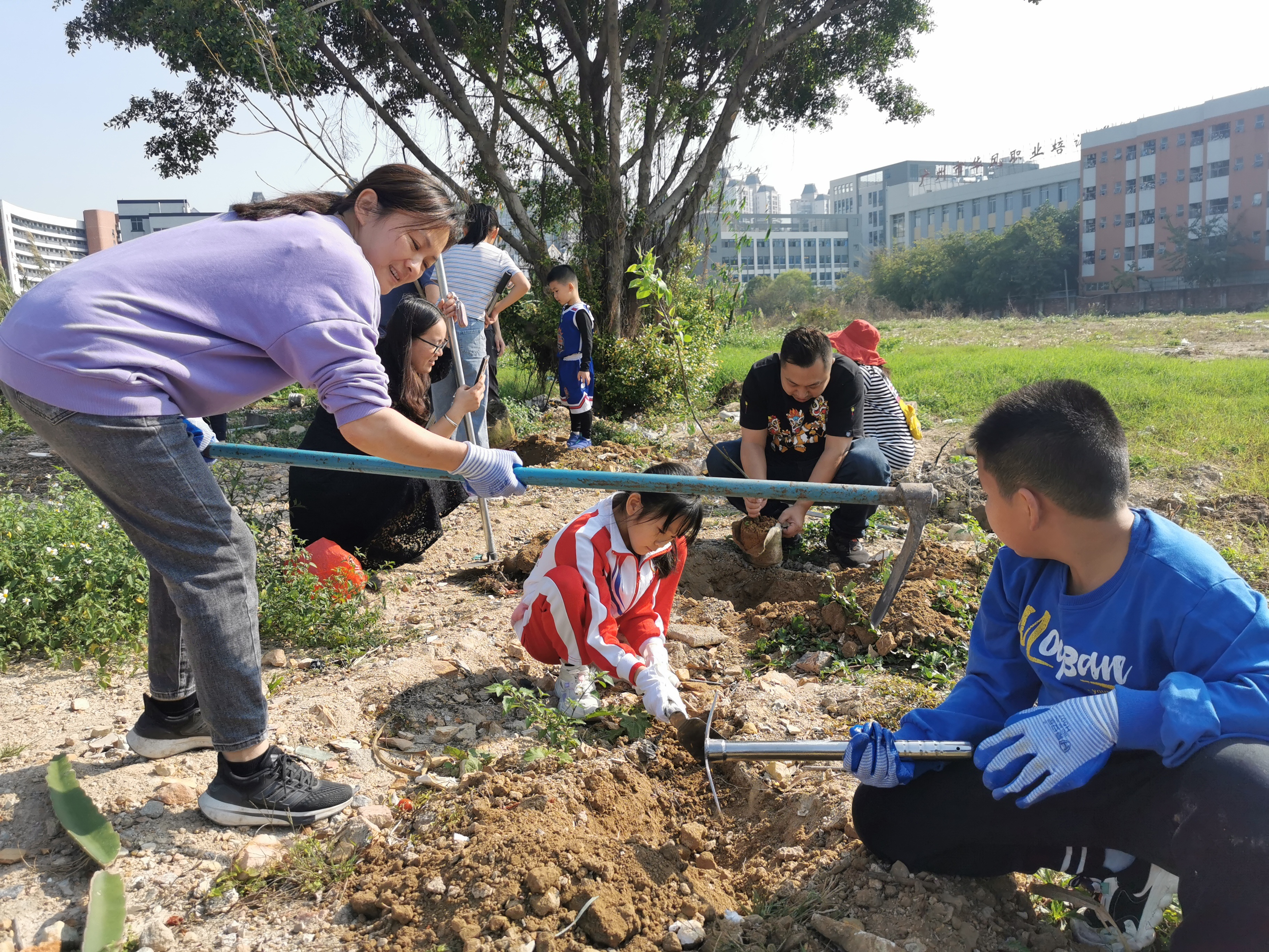 廣州市花都區(qū)秀全街和悅小學班級“種植園地”(圖1)