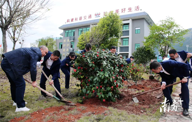 岭南绿都“新力量”，清远各界企业掀起“植树热”