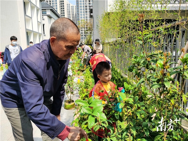 岭南绿都“新力量”，清远各界企业掀起“植树热”