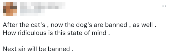 俄罗斯的狗也被西方制裁了...