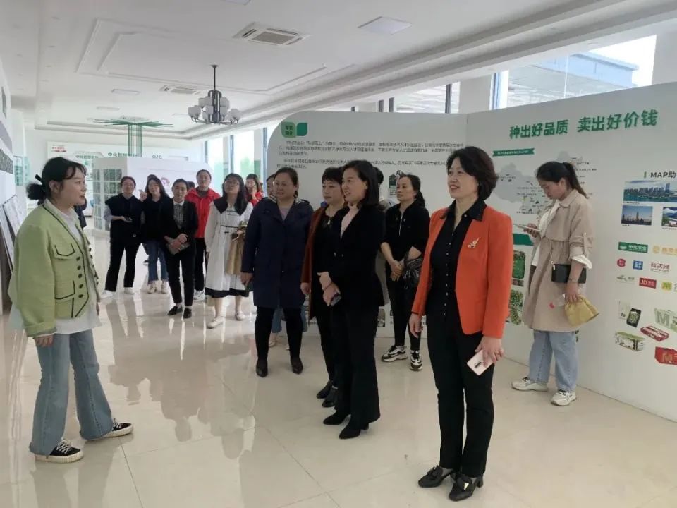 強國復(fù)興有我 | 我的奮斗故事——安徽省三八紅旗手標兵 吳影