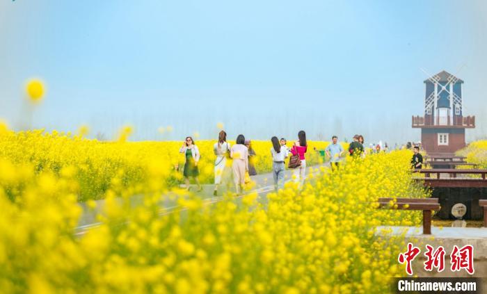 爱情岛论坛线路一（万亩“金”海绽放 湖南君山区农旅“融”出美丽经济）-趣拿体育