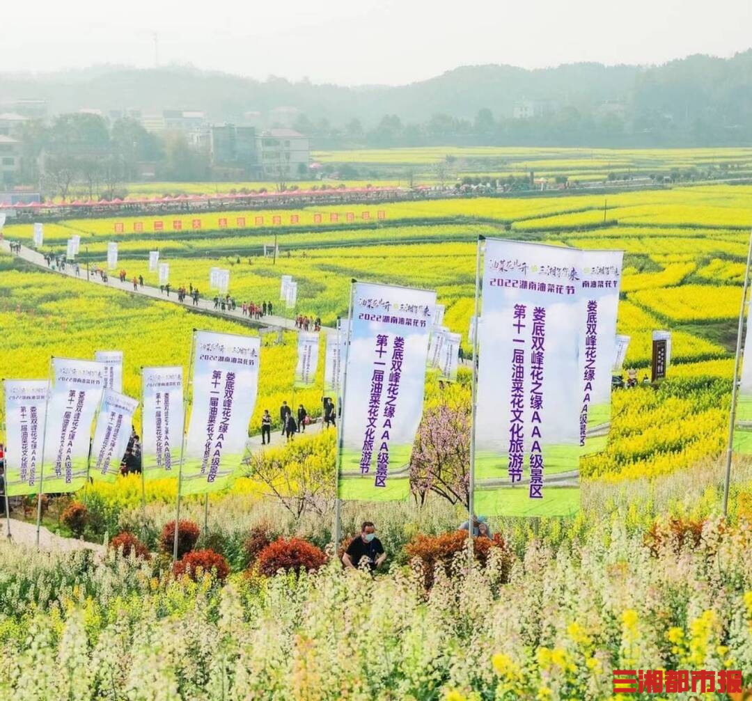 邂逅“醉美”花海！“湖南十大最美油菜花景点”发布