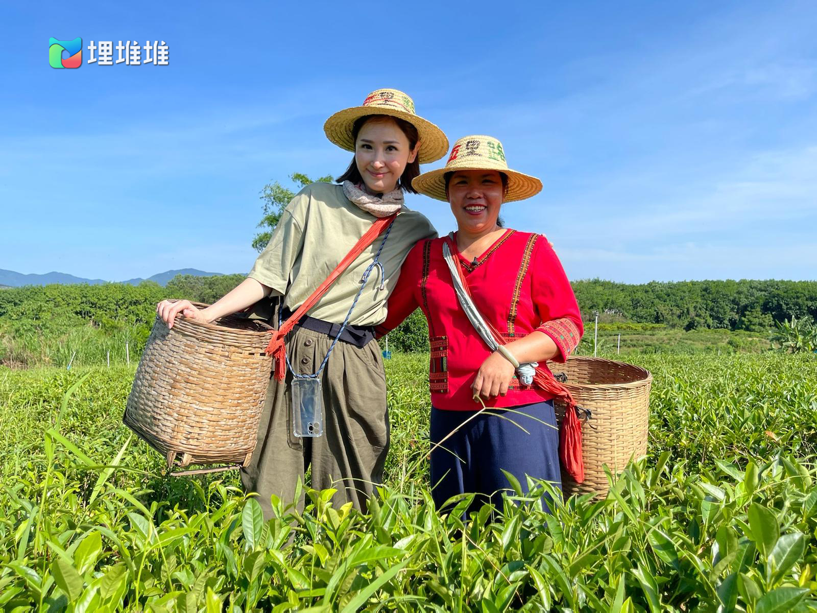 陈贝儿：这是2021最高分的节目，真厉害。