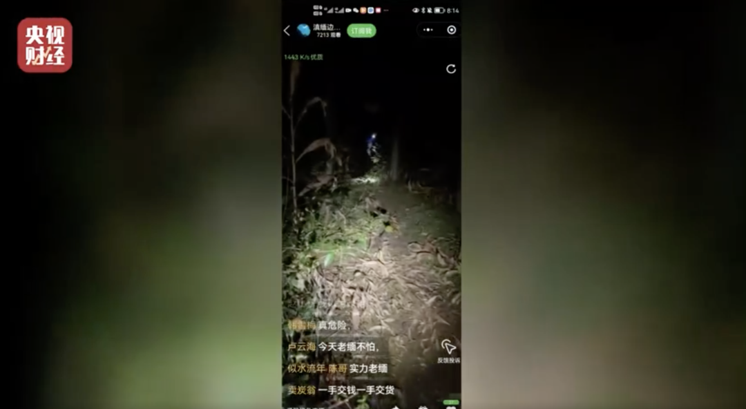 315打假直播间：揭秘诱哄大学生打赏的骗术