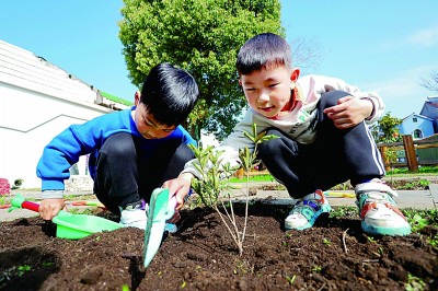 学前教育这十年：同在蓝天下 共享普惠园