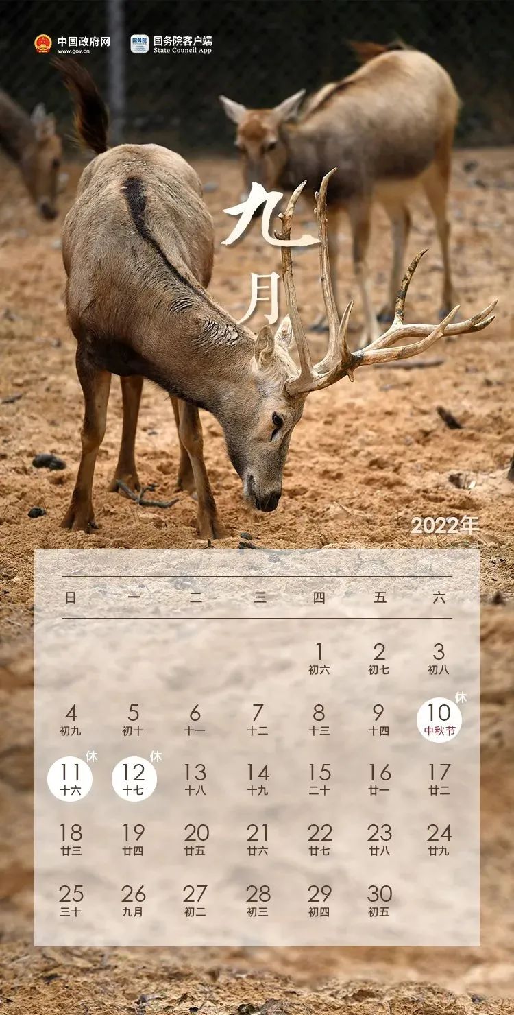 放假通知！連休5天