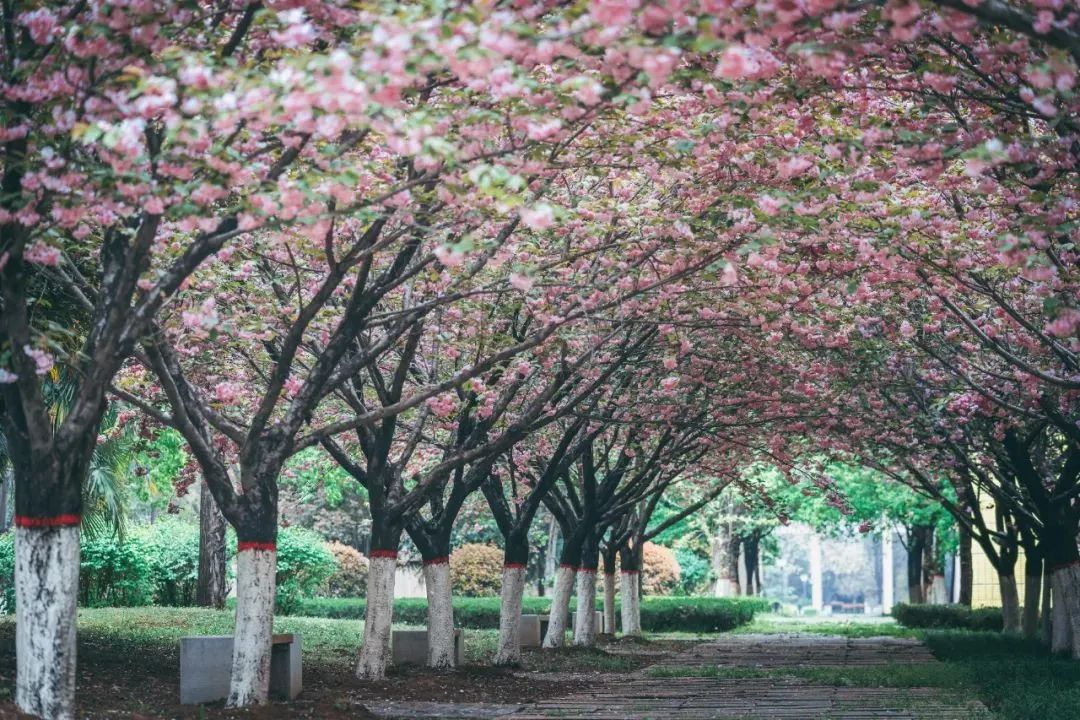 大学丨中国“最穷”211？别乱说！这所百年院校实力很强