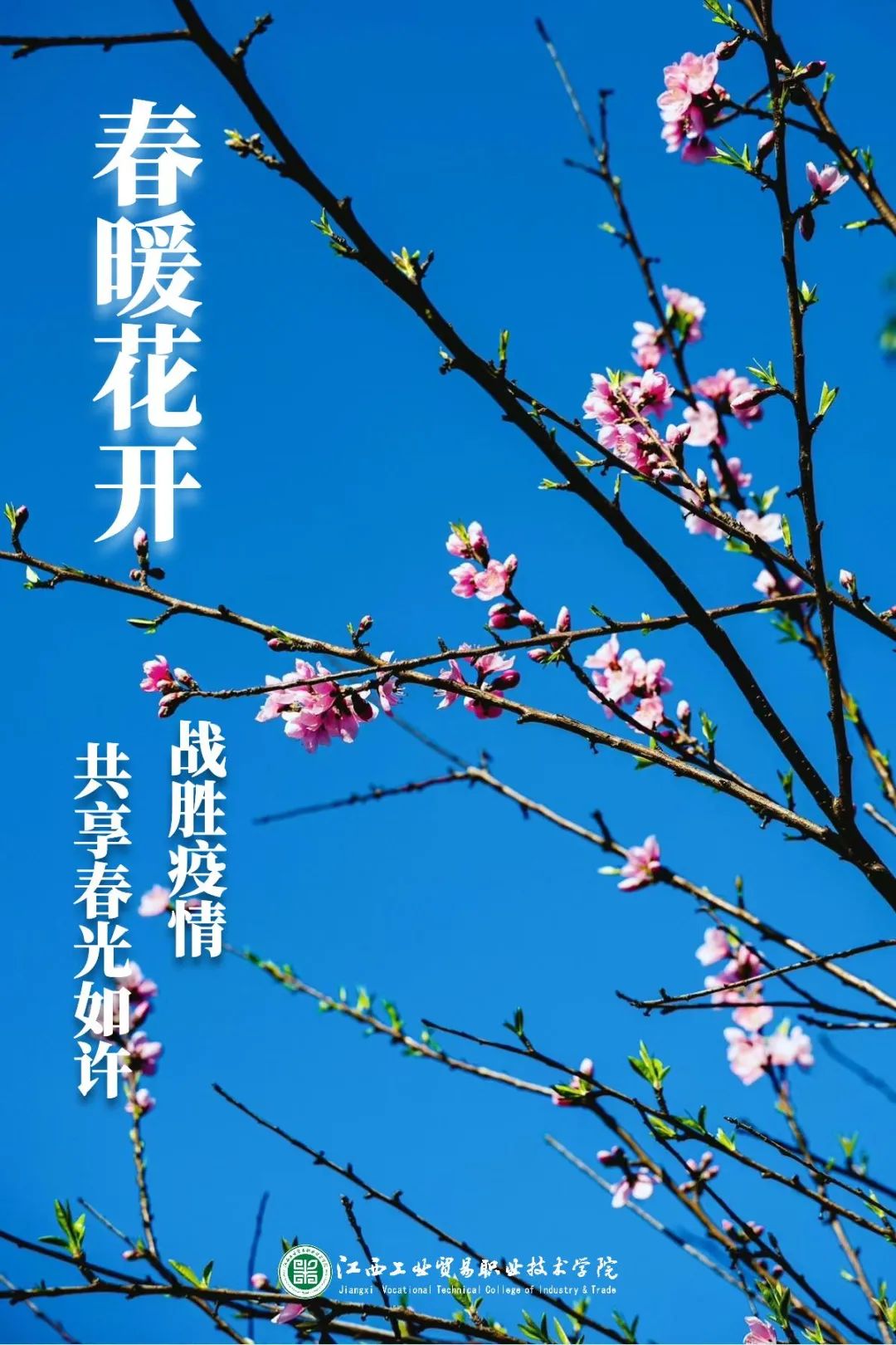 6小时！9807人！工贸跑出“抗疫加速度”