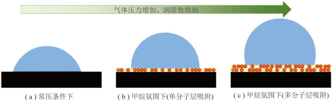 魏建平教授：瓦斯氛围下煤水固液接触特征