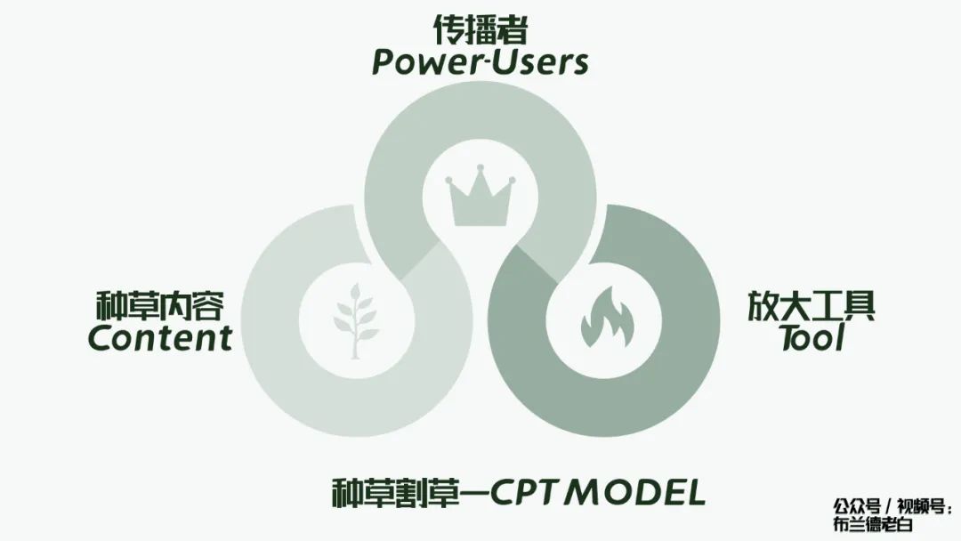 万字梳理品牌小红书种草割草指南