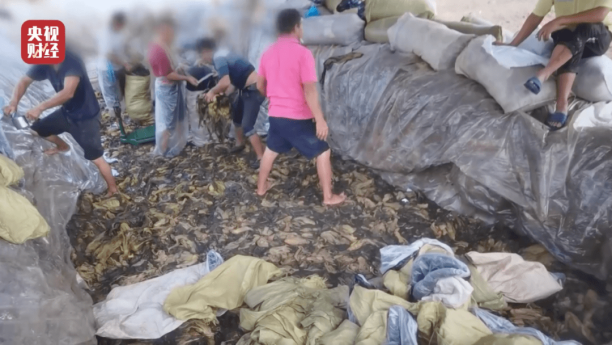 追击3·15：偷窥手表还在卖、虚假评论还在刷、土坑酸菜遭灭顶