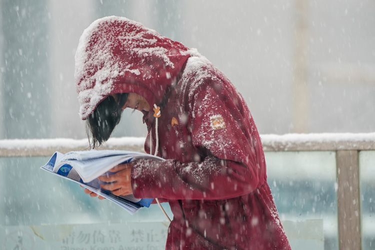 北京雪景图片（北京盛开的山桃花上积满了雪） 