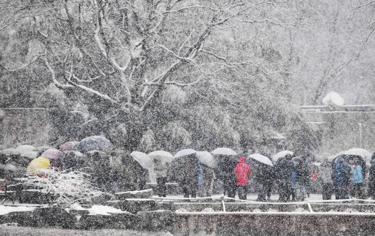 北京雪景图片（北京盛开的山桃花上积满了雪） 