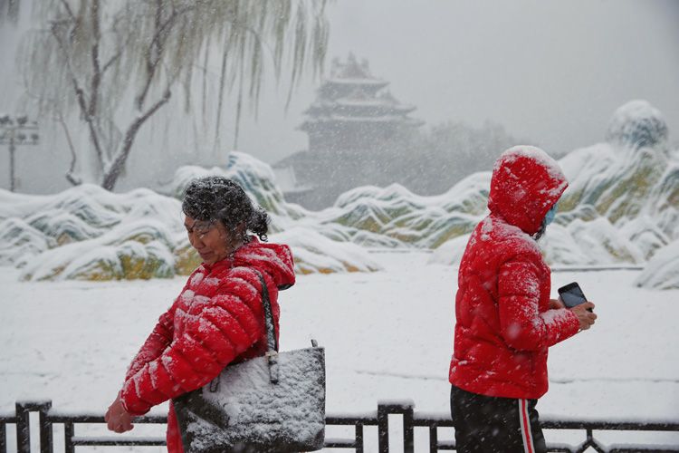 北京雪景图片（北京盛开的山桃花上积满了雪） 