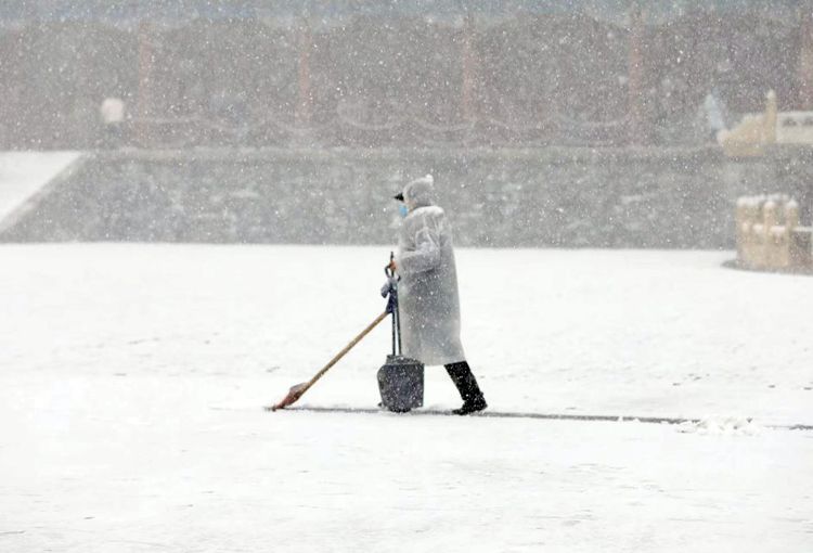 北京雪景图片（北京盛开的山桃花上积满了雪） 