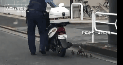 国际幸福日 | 幸福是什么？这是我听过最好的答案！