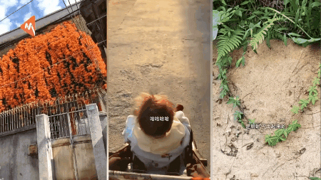 国际幸福日 | 幸福是什么？这是我听过最好的答案！