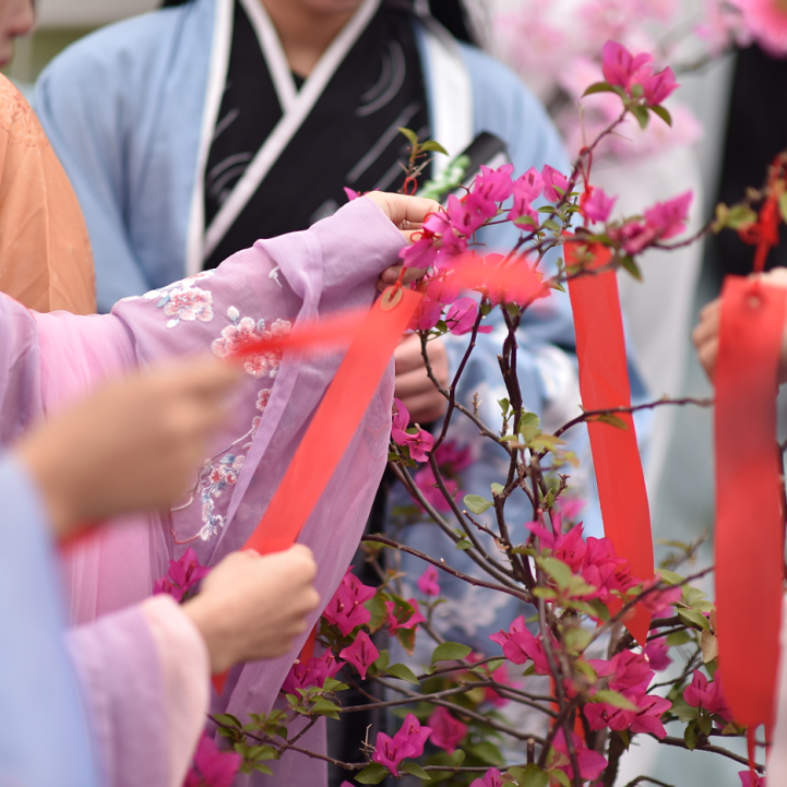 相思小镇花朝节 | 风起霓裳赴一场繁花盛宴