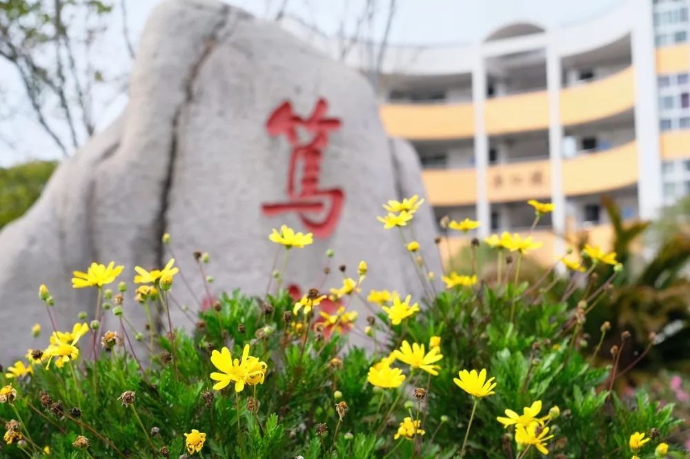 这满屏的校园春景，实在是关不住了……快来打卡