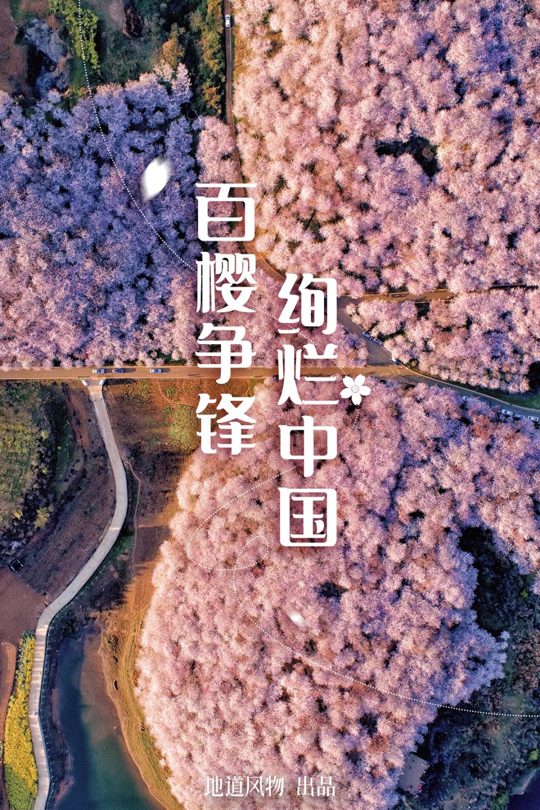 华南农业大学邮箱（大美中国）