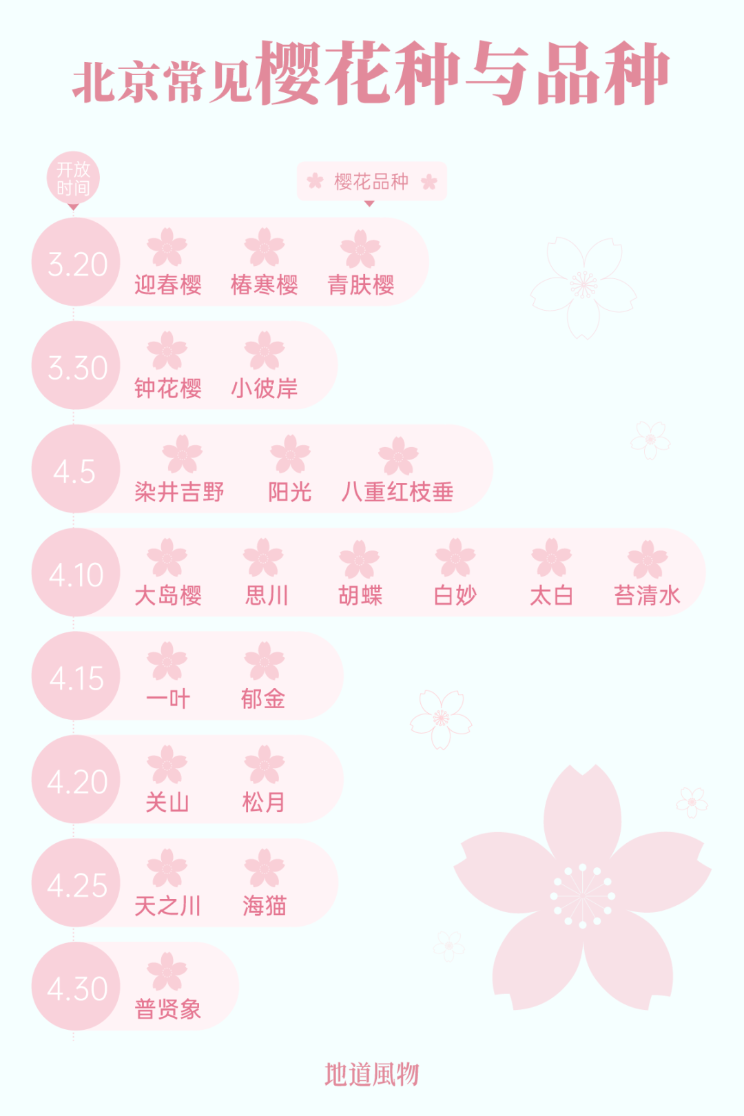 大美中国 | 不能出门看樱花？三万里中国云赏樱地图请查收