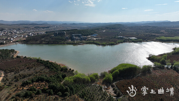 黄精种苗基地（带你领略云南最大的中药材生产示范基地）