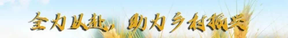 不主动报备涉疫地区旅居史！逃避检查通道进入大学参加考试？！受案调查！