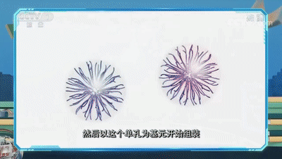 在纳米材料上如何造孔？肉眼看不见的“孔”竟能大显神通