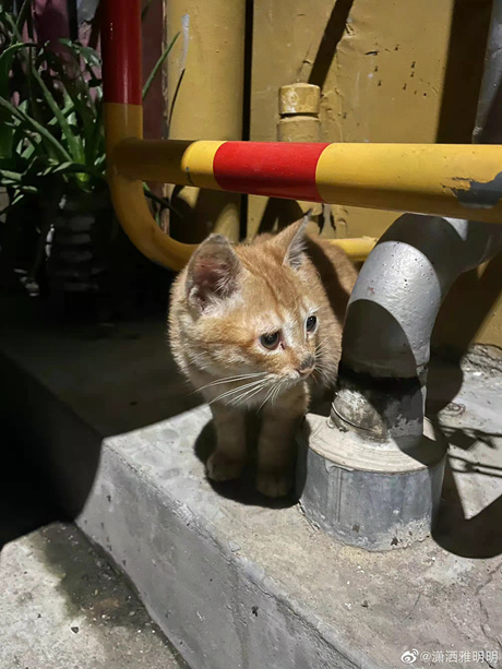 “网红”早餐店又有了烟火气