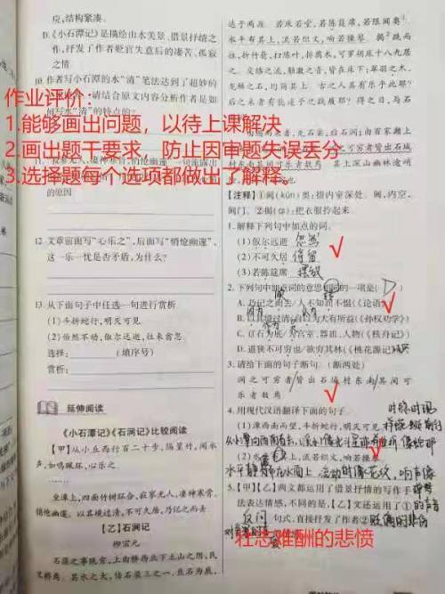 沈阳市尚品学校开启线上教学(图25)